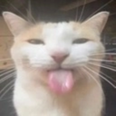 localcc-HelloWorld icon