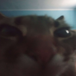 luj-lukmaneater icon