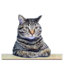 maow-meow_3 icon