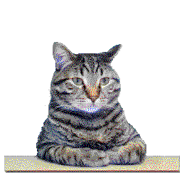 maow-meow_3 icon