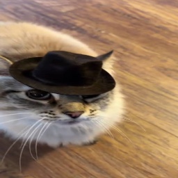 meow124231-MauMauMod icon