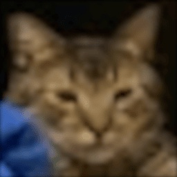 mi_equipazo-MarcoPoloModPack icon