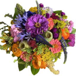 nadahlia-Flowers icon