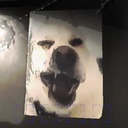 p10radzio2008s3-Hazel_Posters icon