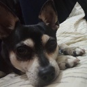 pacoito-itolib-0.8.0 icon