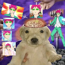 perri_jpg-PJCableService icon