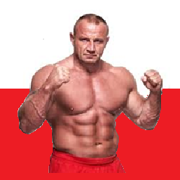 polska_autoskola-HusariaCruiser icon