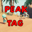 tony4twenty-PEAK_Tag-1.1.0 icon