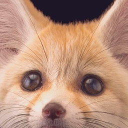 tufty-Le_Goob_Posters icon