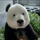 urmum-Jazzys_Mixtape icon