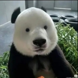 urmum-Jazzys_Mixtape icon