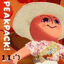 yoo_f4-peakpack-1.1.0 icon